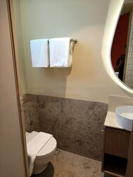 Upper Bukit Timah Road (D21), Condominium #481418551